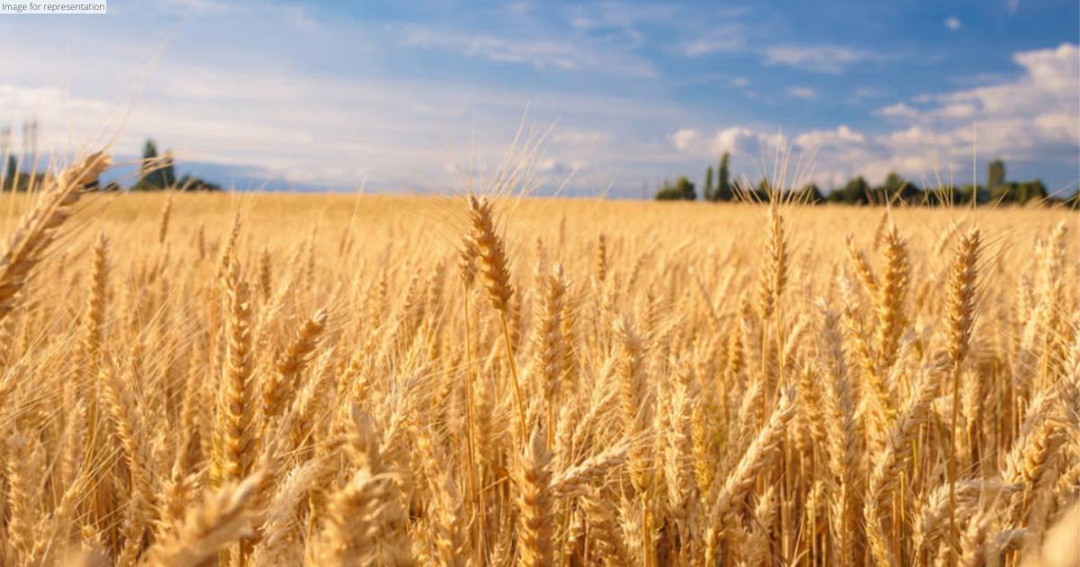UN to continue talks with EU, US, Russia on grain export